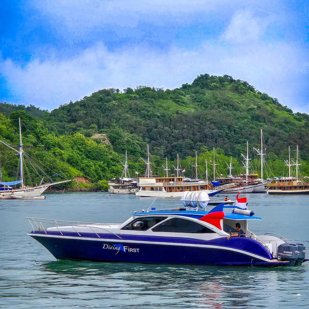 Daily dive trip in Labuan Bajo for Diving in Komodo
