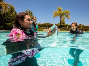 Confined Water for Open Water Diver Course