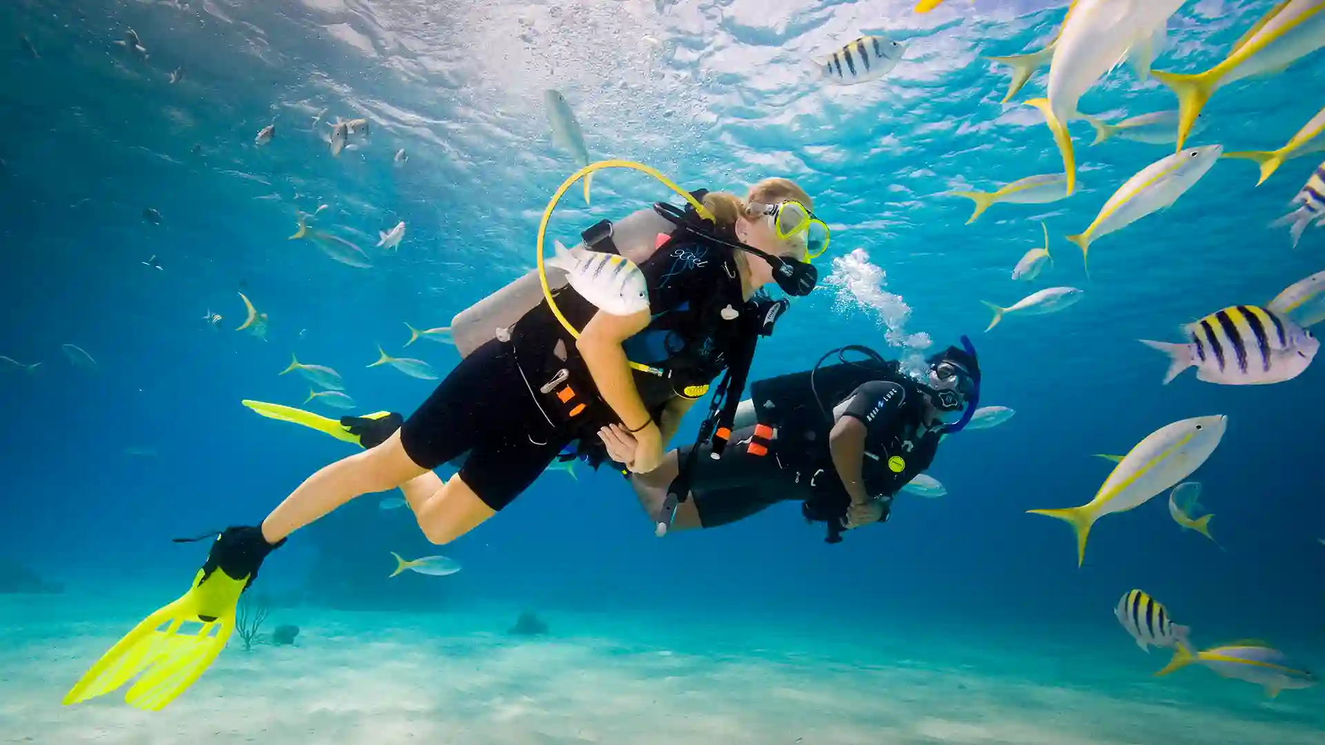 Discover Scuba Diving try diving in Komodo Labuan Bajo