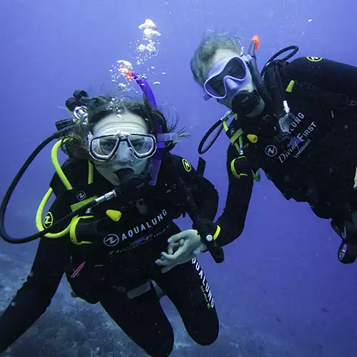 Try diving in komdo with diving first labuan bajo see manta rays and sea turtle