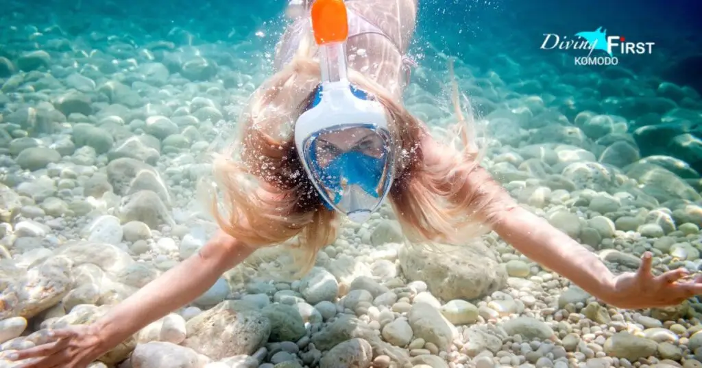 Full Face Snorkel Mask