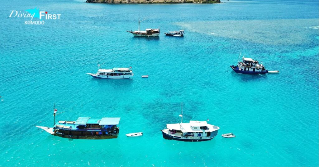 Dive Trips