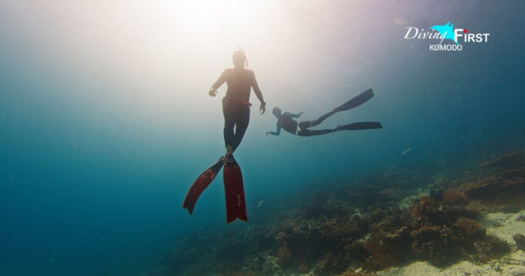 Komodo Liveaboard Diving