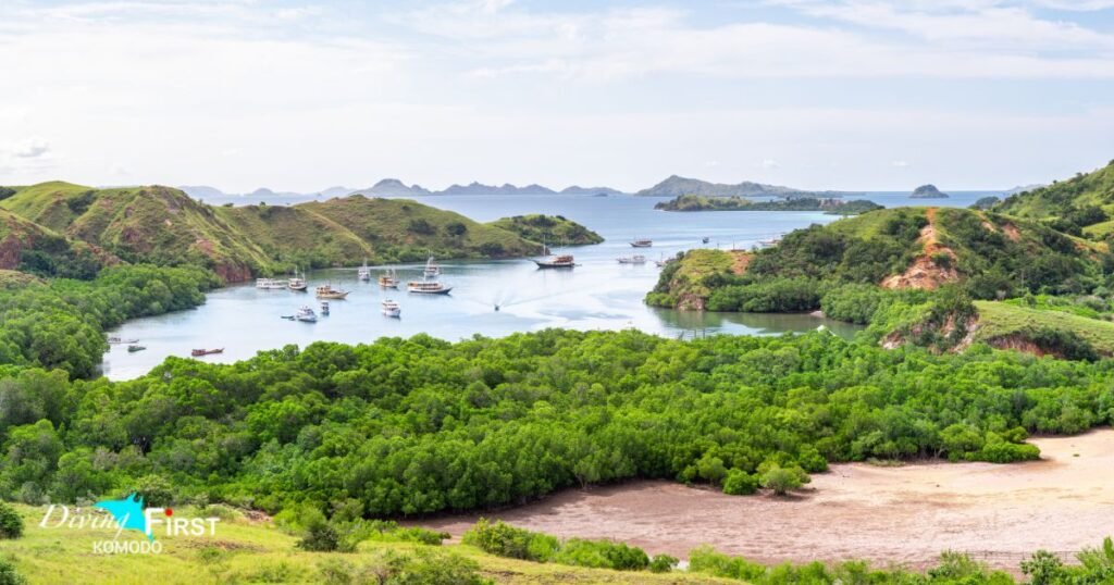 Pulau Rinca