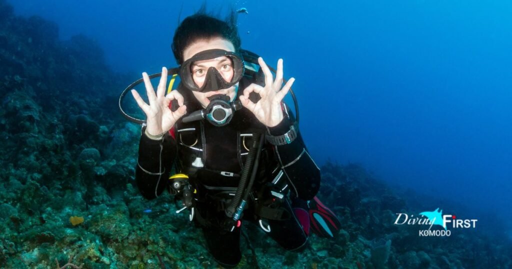 best time to dive in Komodo