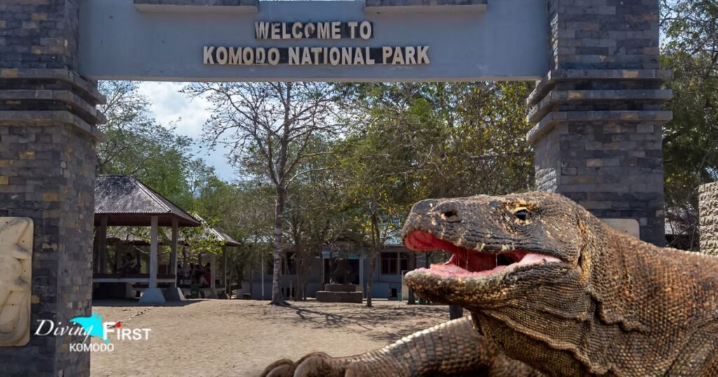 Sejarah pulau komodo