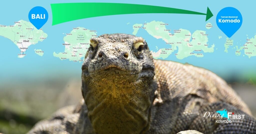 how to reach komodo island from bali