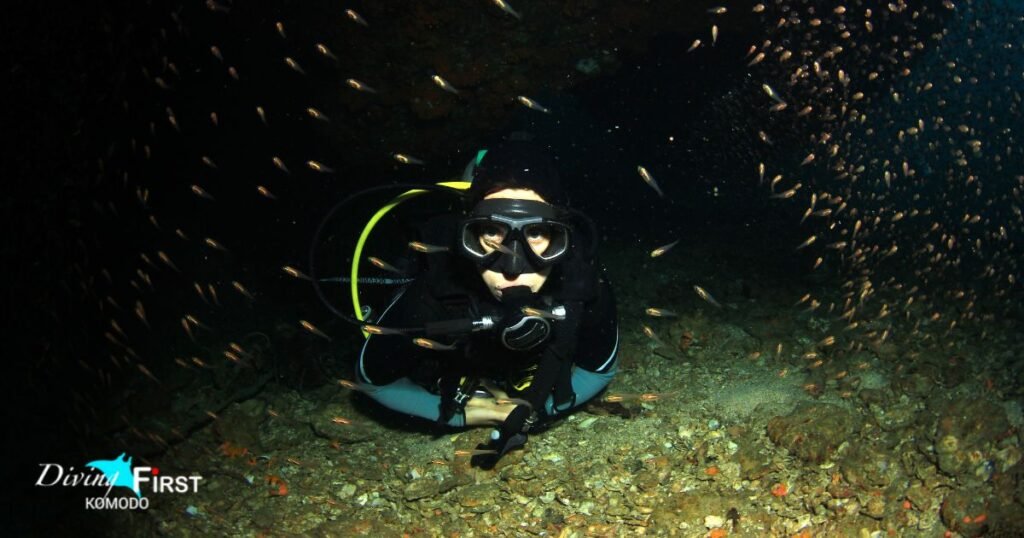 night diving