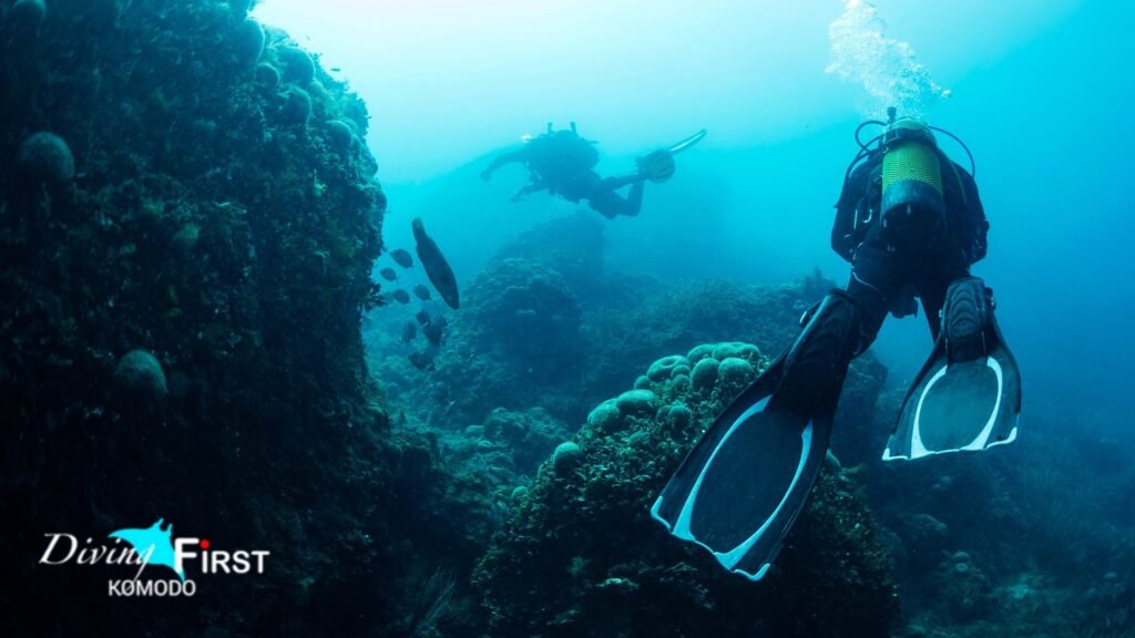 Arus Diving Komodo