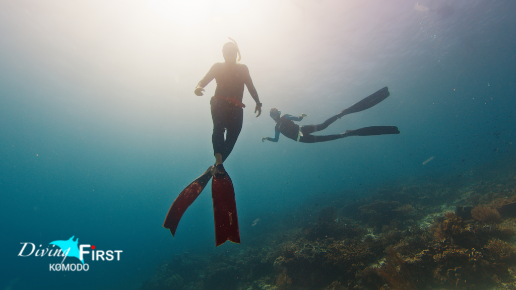 Paket Diving Komodo