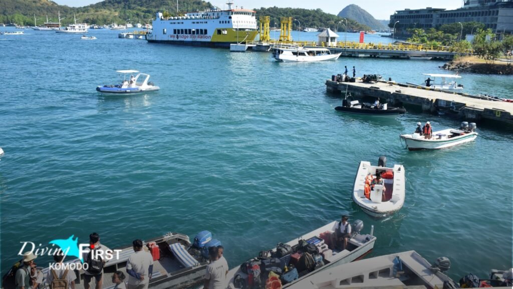 Daily Dive Komodo dari Labuan Bajo untuk Wisatawan Asing