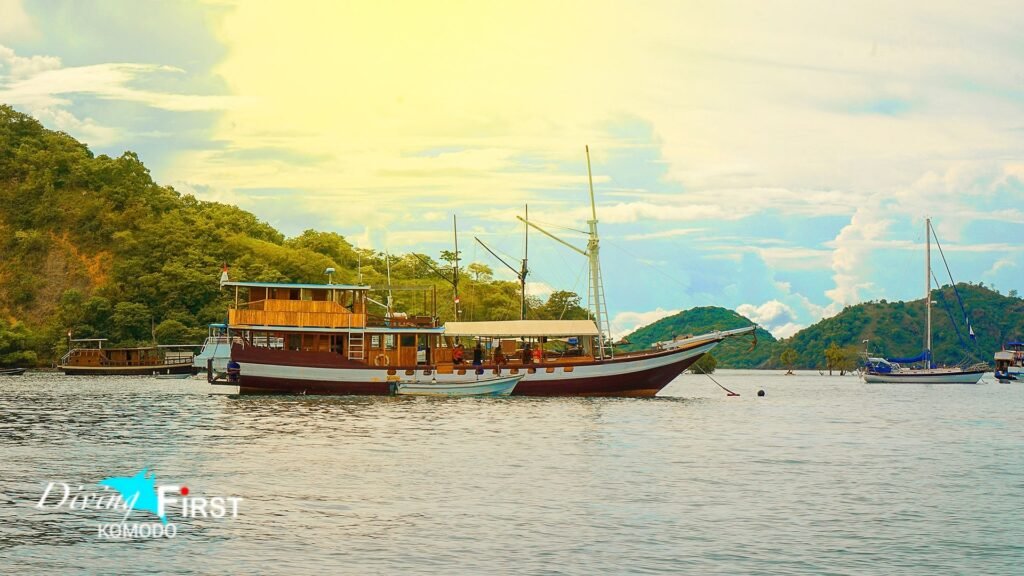 Komodo 3D2N liveaboard recommendations