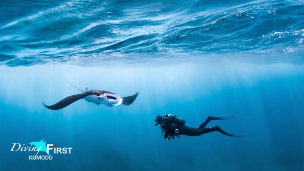 Komodo Drift Diving