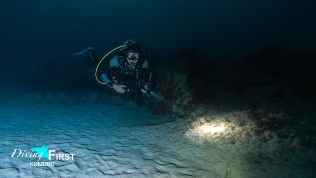 Persiapan Night Diving Komodo untuk Pemula