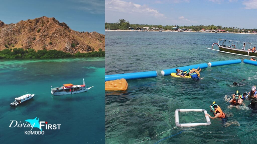 komodo vs bali diving comparison