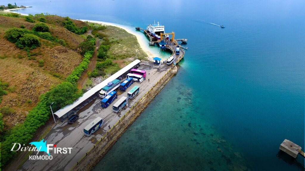 Best Time to Leave for Komodo Day Dive