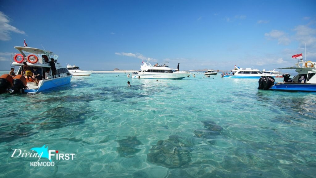 Dive Site Komodo yang Bisa Dikunjungi dalam Sehari dari Labuan Bajo