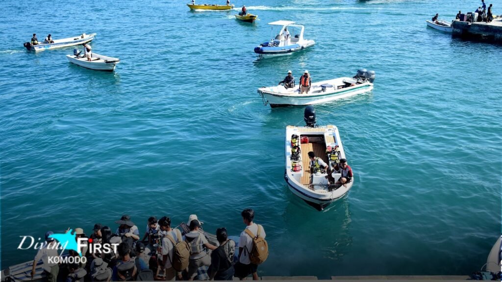 How Are Dive Sites Chosen on a Komodo Day Trip