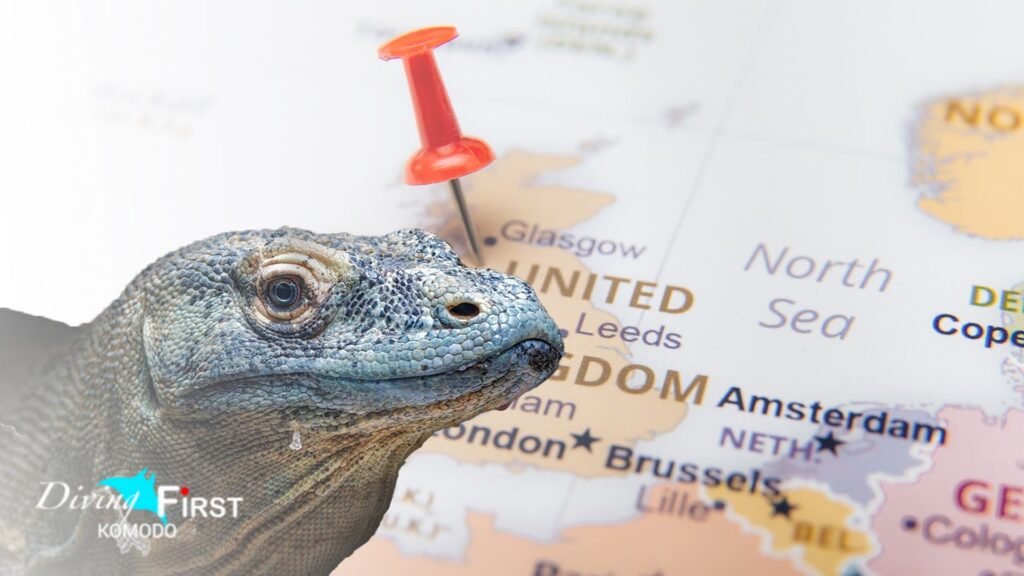 Komodo Diving From UK